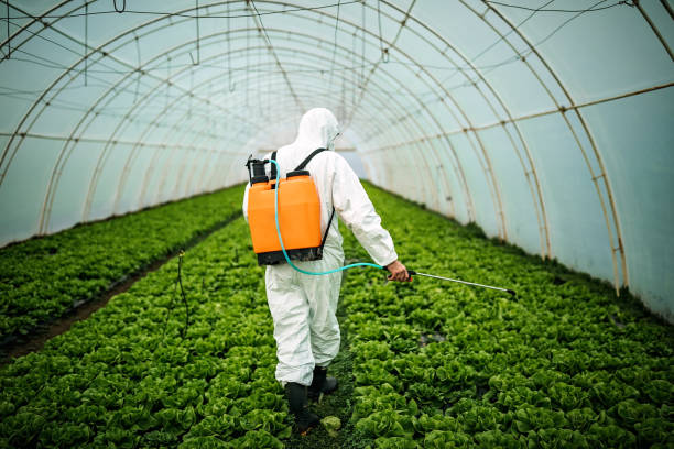 Best Exterminator Services  in Exandria, AL