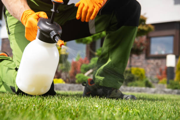 Reliable Alexandria, AL Pest Control Solutions