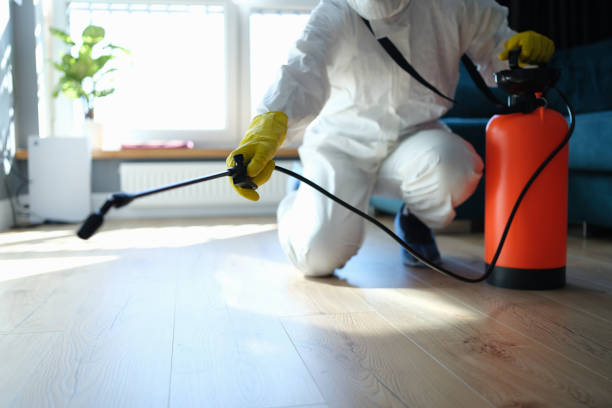 Best Mosquito Control Services  in Exandria, AL