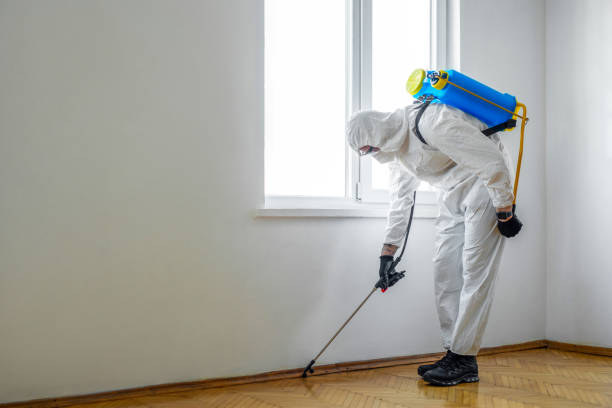 Best Affordable Pest Control Services  in Exandria, AL