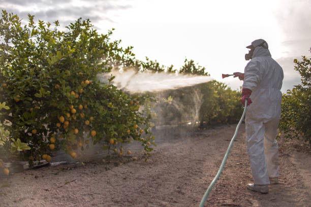 Best Pest Control for Businesses  in Exandria, AL