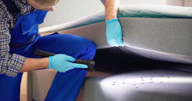 Best Pest Control Treatment  in Exandria, AL