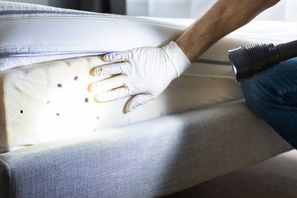 Best Rat Extermination Near Me  in Exandria, AL