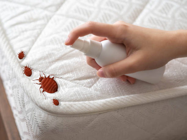  Exandria, AL Pest Control Pros