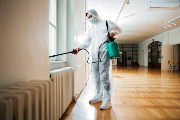 Best Termite Control Services  in Exandria, AL