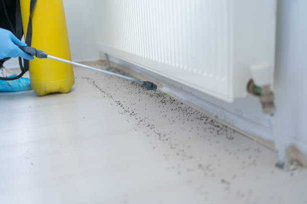 Best Pest Prevention Services  in Exandria, AL