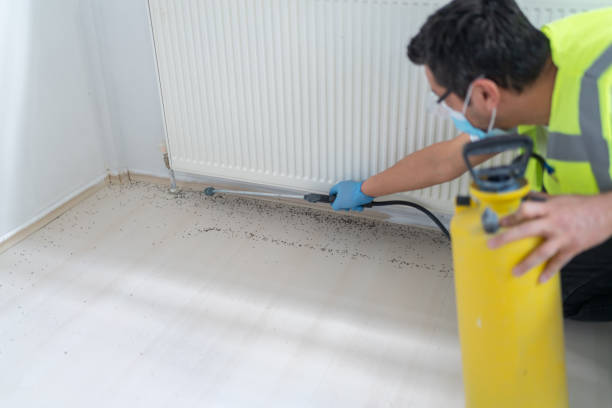 Best Local Pest Control Services  in Exandria, AL