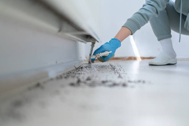 Best Pest Inspection Near Me  in Exandria, AL